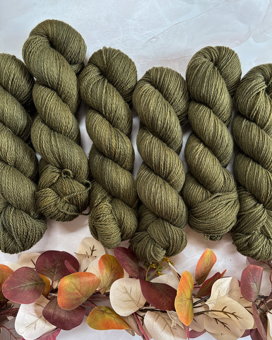 We've Come to Burgle Your Turts