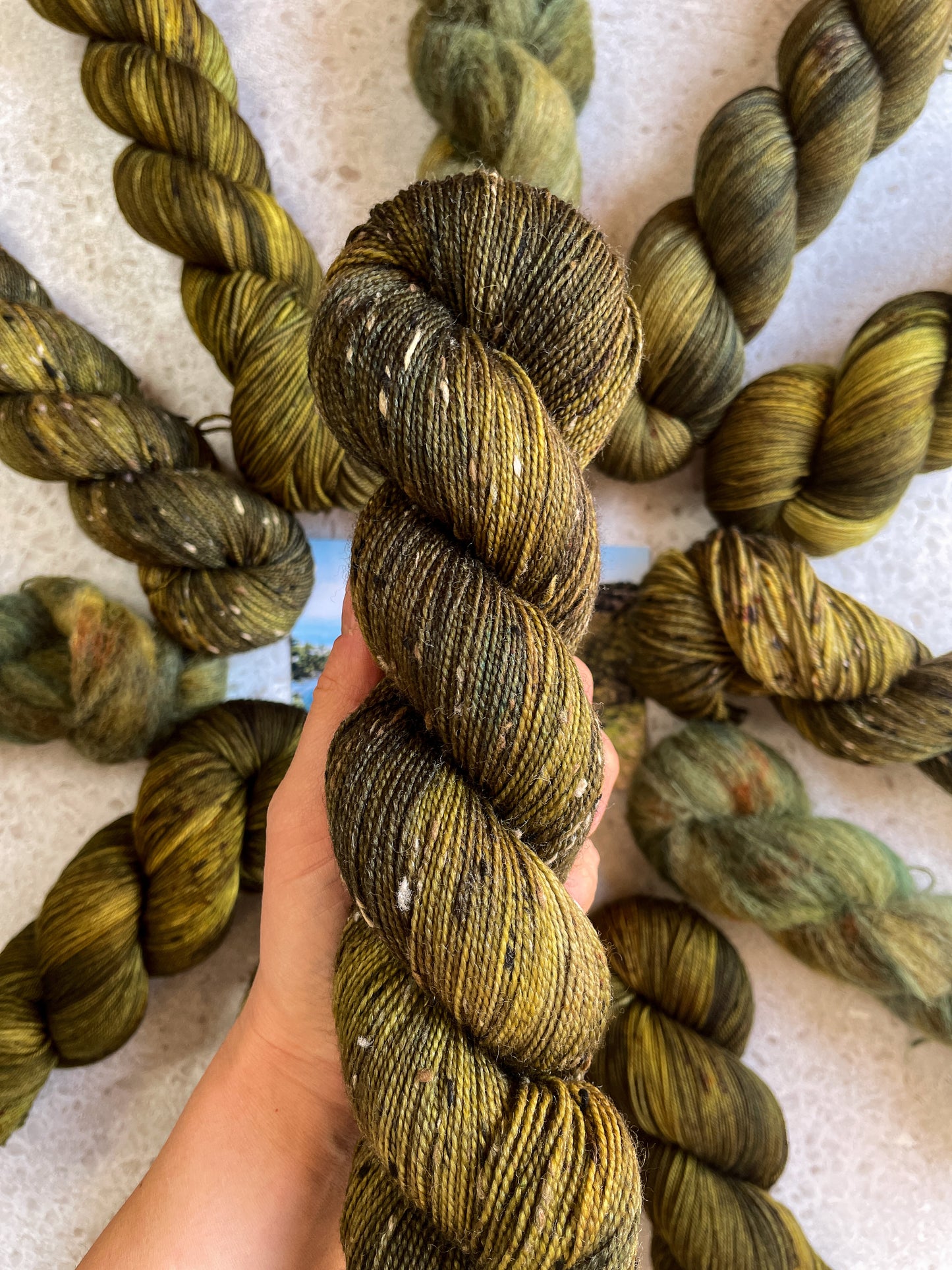 Piñon Pine