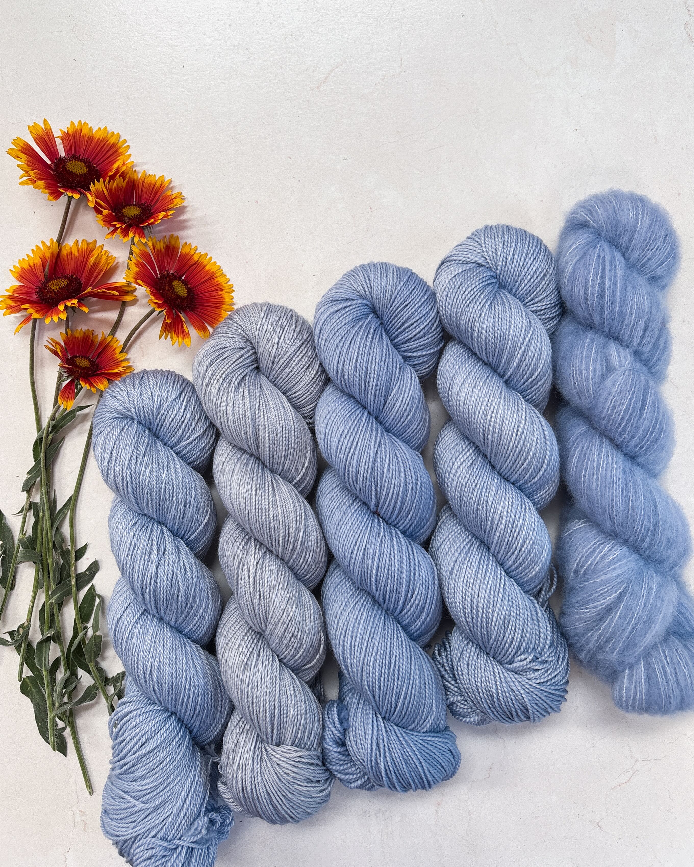 Pale, sky blue skeins of hand dyed yarn like on a pale stone colored background next to a small bouquet of orange and yellow blanket flowers.