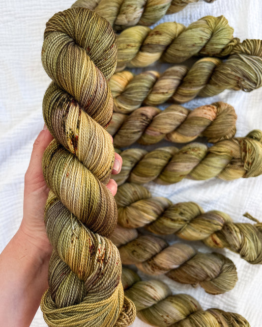 Sassenach in the Highlands PREORDER