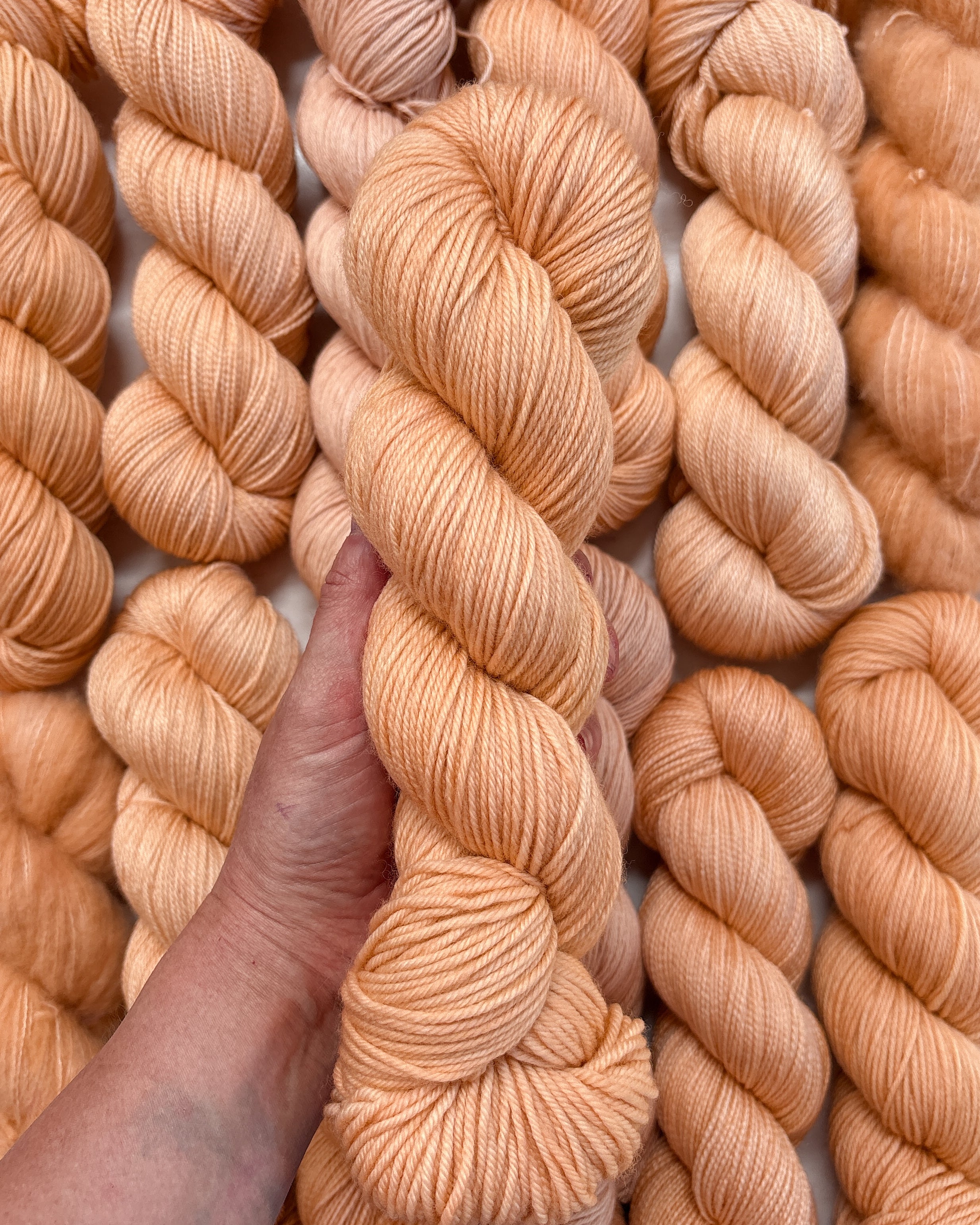 Apricot | PREORDER