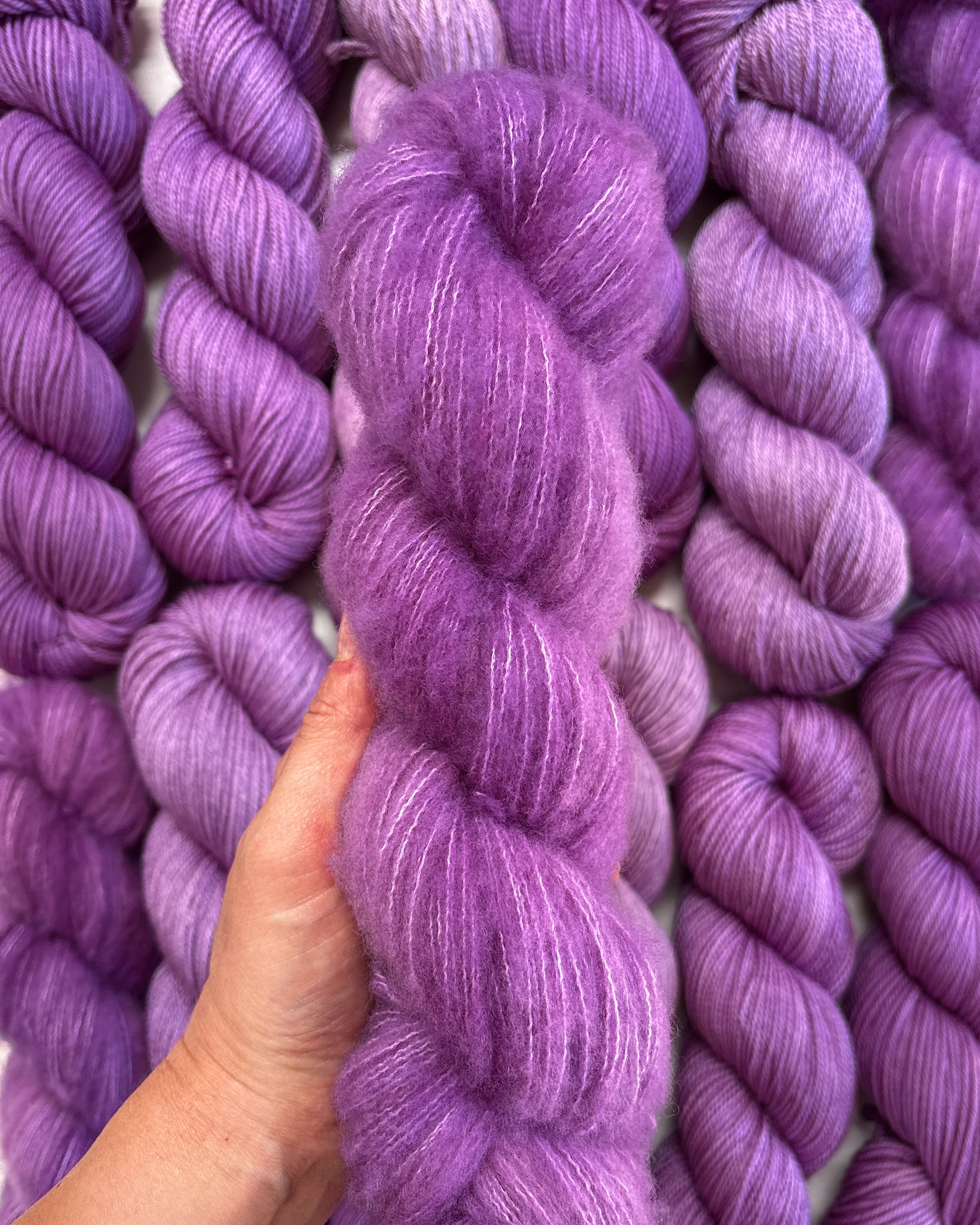 Halo Lavender | PREORDER