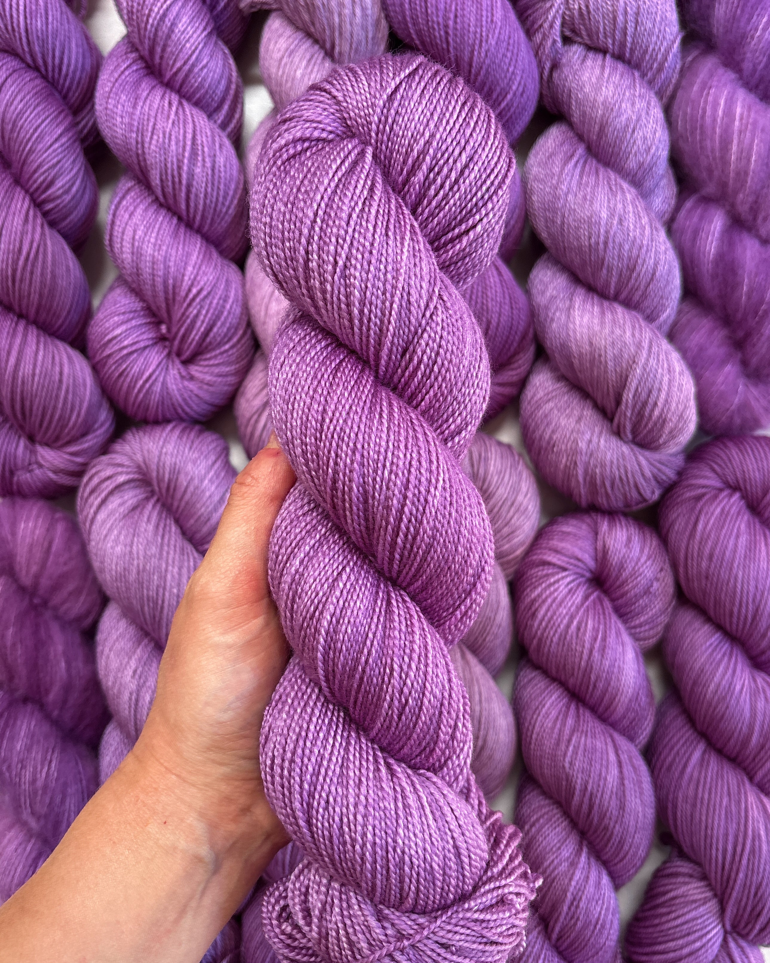 Halo Lavender | PREORDER