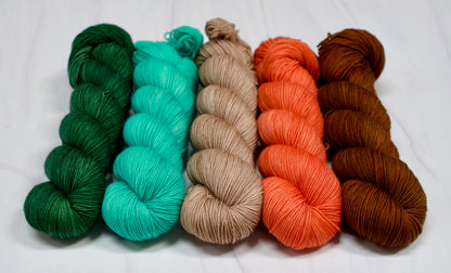 Bold Asteroid City Full Skein Set