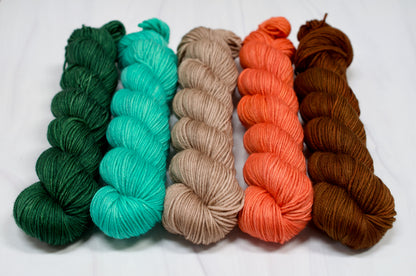 Bold Asteroid City Full Skein Set