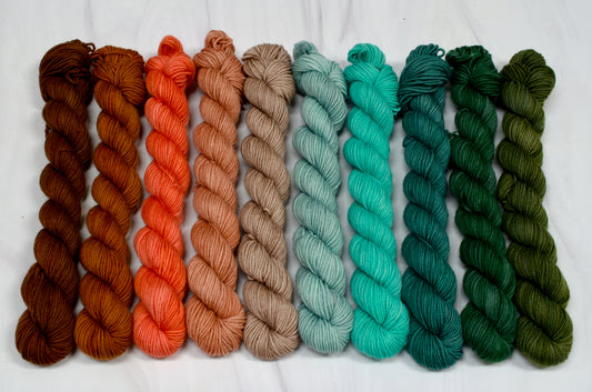 Asteroid City Mini Skein Set