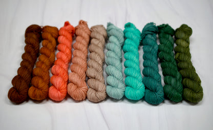 Asteroid City Mini Skein Set