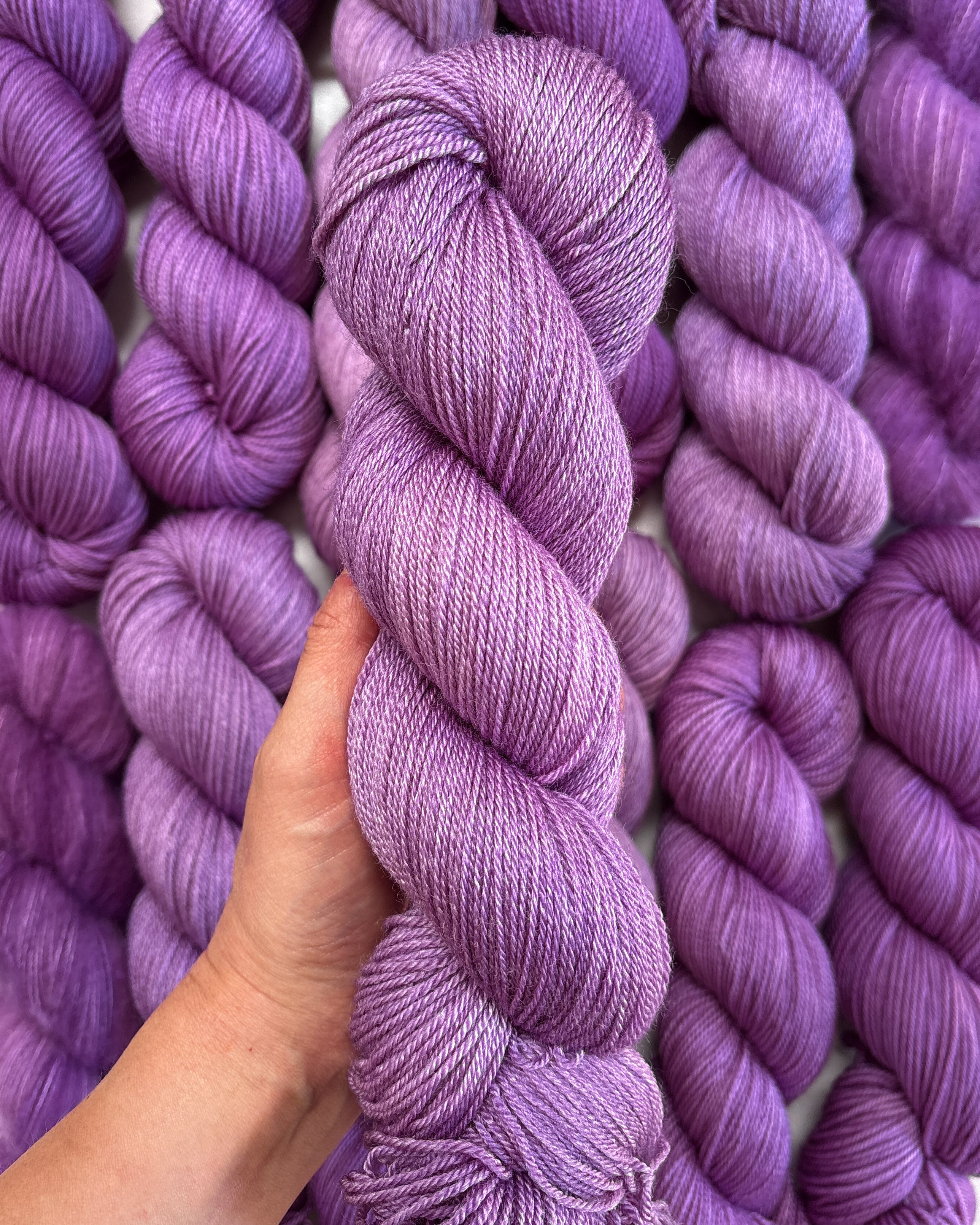 Halo Lavender | PREORDER