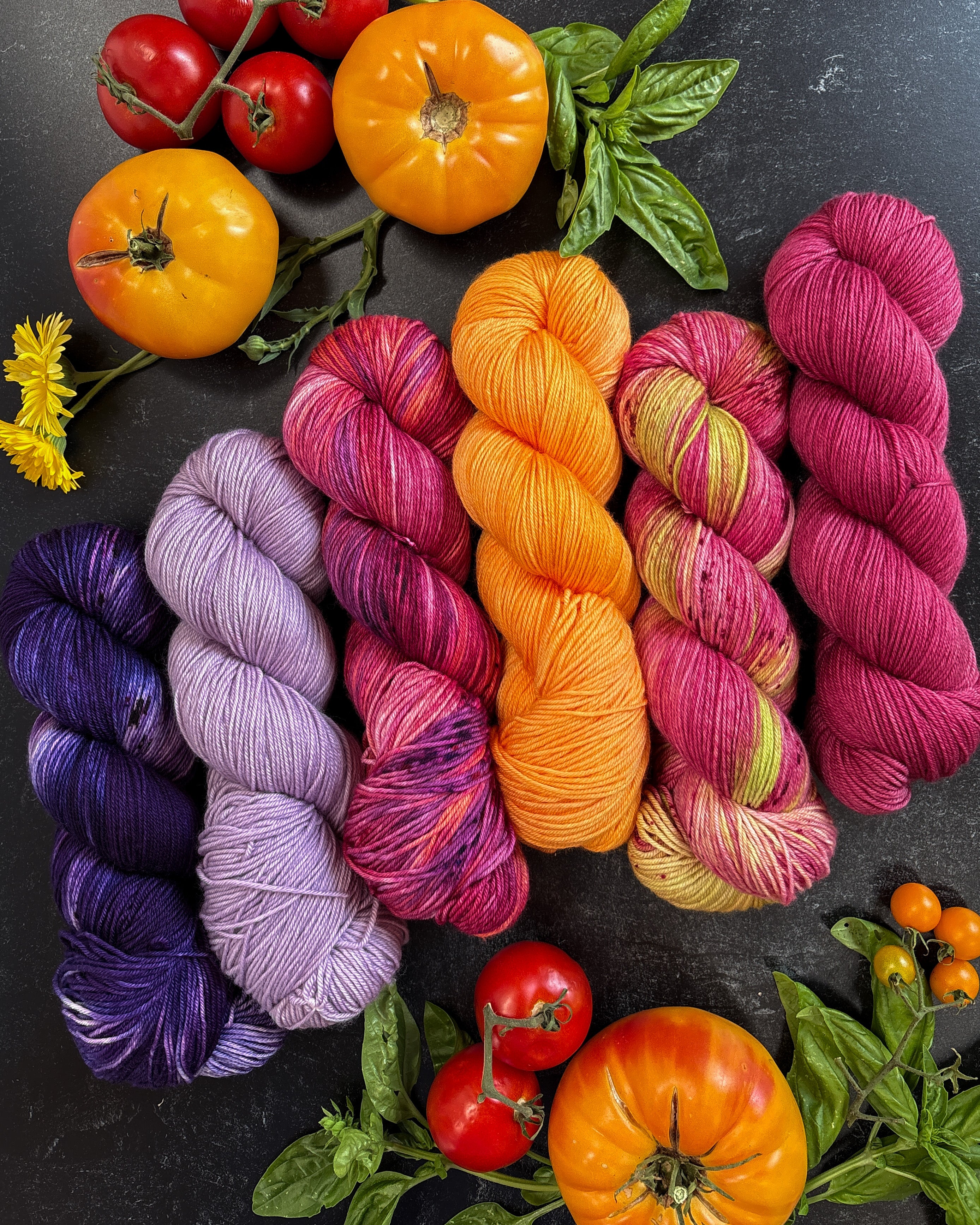 Colorful skeins of yarn inspired by tomatoes lie on a black background surrounded by tomatoes and basil.