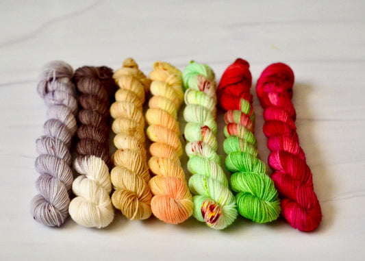 Disneyland Snack Pack [mini skein set]