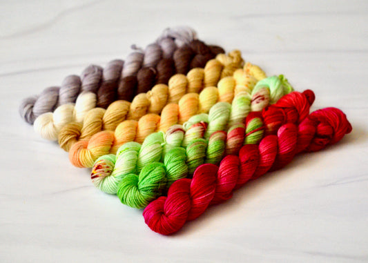 Disneyland Snack Pack [mini skein set]